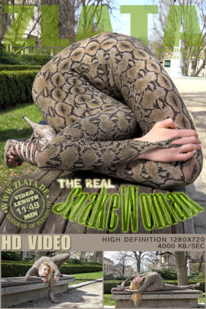 8-8ҕlT^(q)zlata^(q)Ѹ