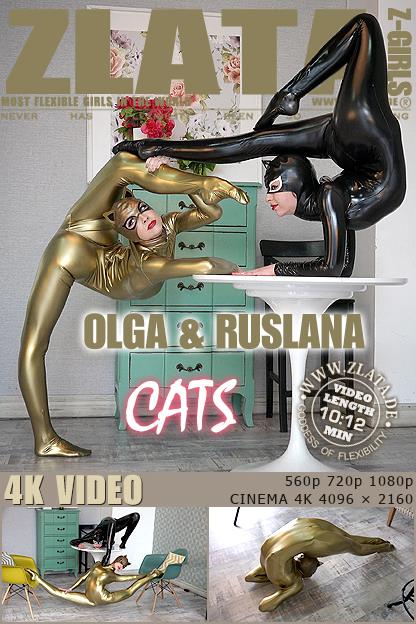 3-31ҕlT^(q)zlata^(q)Ѹ